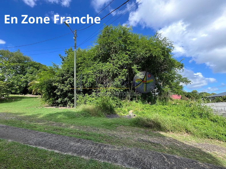 Agence immobilière de Agence A+ Caraïbe